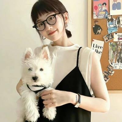 警徽天职第四季 高清封面